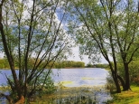 Olsztyn - jezioro Dugie