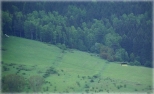 Góra Parkowa w Mieroszowie- widoki z wieży widokowej
