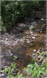 Potok w Sokoowsku
