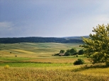 Krajobraz okolic Trzeszczan