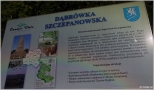 Dąbrówka Szczepanowska, cmentarz z okresu I wojny światowej
