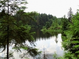 Rezerwat przyrody na rzece Szum