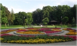 W parku wejherowskim