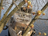 barka  Tadek wiosna