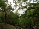 Widok na Jezioro Wicko