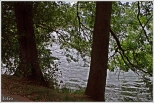 Jezioro Raczyńskie