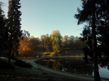 jesienny poranek w zamojskim parku