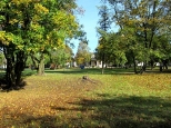 Jesień w małym parku