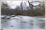 Kalisz - rzeka Prosna w okolicach Piwonic _ pierwsze lody