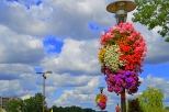 Opole - kwiaty na miejskich lampach