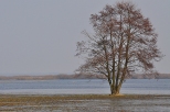 Wiosenne rozlewiska Biebrzy w okolicach wsi Chyliny
