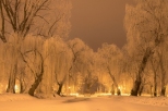 Łęczycki Park w zimowej szacie