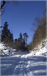 Zimowy spacer po lasach Srebrnej Góry