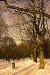 Park Śląski zimą.