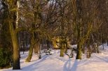 Park Śląski zimą.
