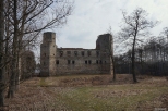 Ruiny zamku w Drzewicy  1527-1535