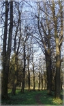 Park w Sulistrowiczkach