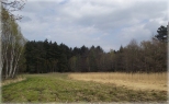 Rezerwat Łąka Sulistrowicka