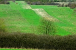Kije - pola uprawne przy drodze do Dębskiej Woli