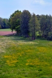 Krajobraz wiosenny w okolicach Zabrzega.