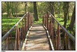 Golina - dworski park krajobrazowy, most prowadzący na wyspę