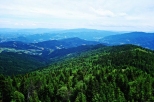 Gorczańskie lasy widok z Gorca