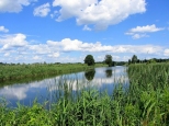 System staww melioracyjnych na rzece Mienia