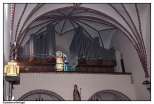 Kazimierz Biskupi - gotycki koci p.w. w. Jana Chrzciciela i Piciu Braci Mczennikw, pnogotyckie sklepienie kocioa