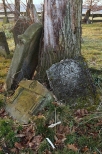 Cmentarz ydowski XIXw. w Cieszowej