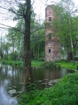 Ruiny zamku/paacu w Wyszynie