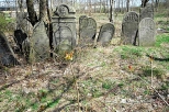 Szydłowiec - na cmentarzu żydowskim