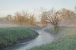 Rzeka Malina w okolicach Piątku