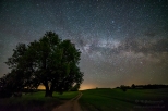 Milky Way  drzewo
