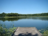 Jezioro w lesie Strzeszowskim