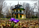 Zamek w  Żywcu - park zamkowy wiosennie.