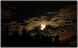 pełnia księżyca nad Karwieńskimi Błotami
