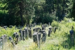 Cmentarz żydowski w Józefowie XVIIIw.