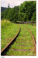 Cisna - przystanek bieszczadzkiej Kolejki Wąskotorowej w Cisnej