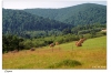 Bieszczady. Zagórz, Cisna, Komańcza
