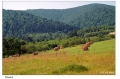 Bieszczady. Zagrz, Cisna, Komacza