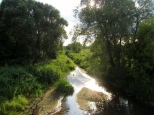 Rzeka Mienia