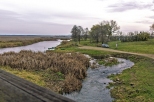 Rzeka Narew