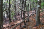 Zielonym  szlakiem na Połoninę Caryńską - pierwsze schody