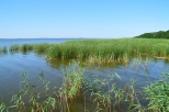 Rąbka  - Jezioro Łebsko