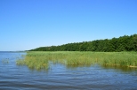 Rąbka  - Jezioro Łebsko