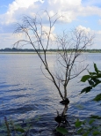 Wspomnienie lata znad jeziora Zegrzyńskiego