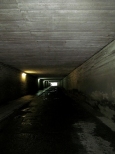 Tunel pod torami