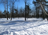 W osiedlowym parku zimą