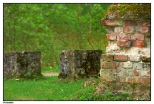 Antonin - fragment ruin w przypałacowym parku