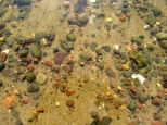 Kamienie pod wodą